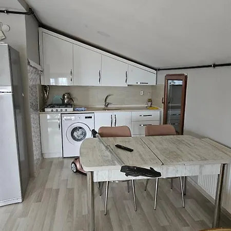 Apartment Aydin Apart