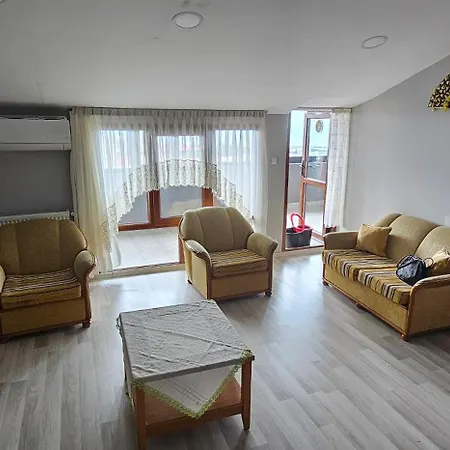 Apartment Aydin Apart *