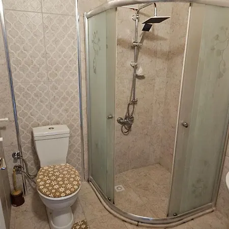 Apartment Aydin Apart *